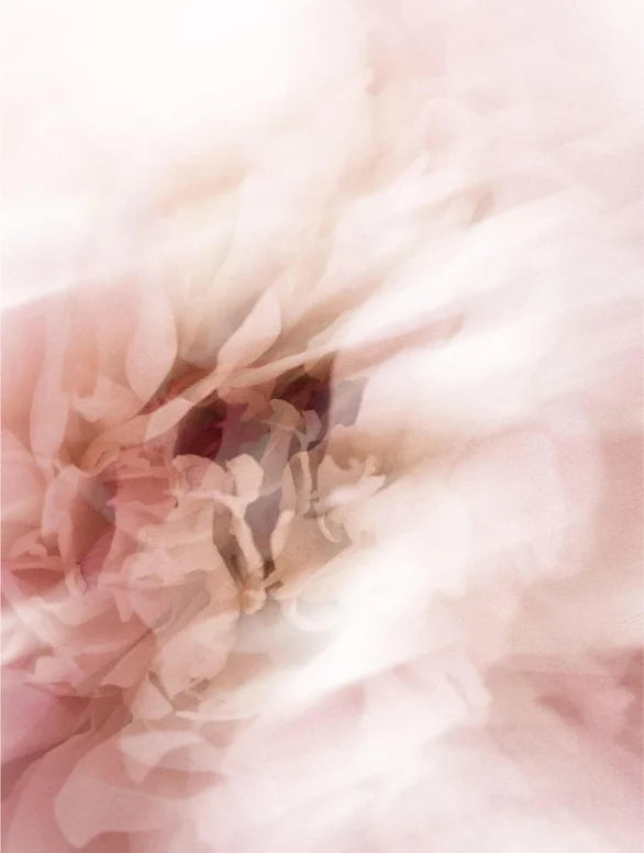 Sun Protection SPF50 Stick 12g